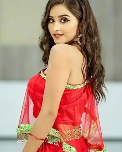 Escort In Vandavasi